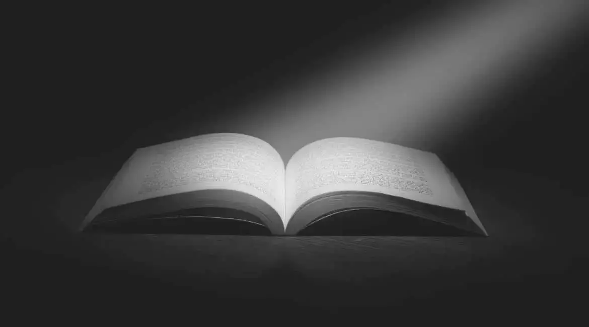 An open book lies on a dark surface, illuminated by a single beam of light from above, casting soft shadows and highlighting the pages.